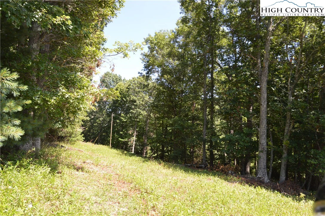 Image number 2 for the current listing