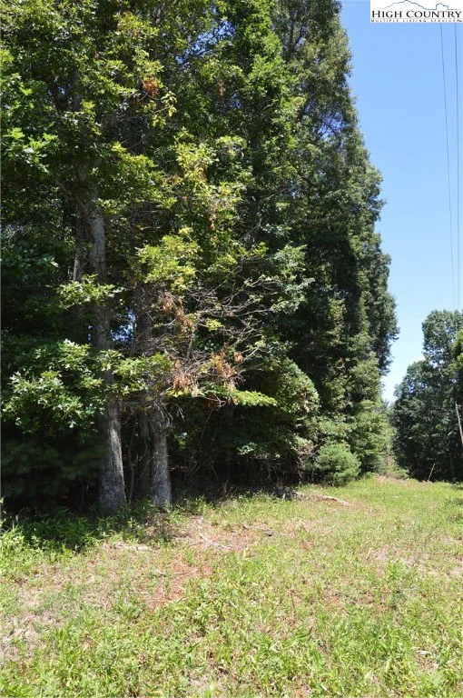 Image number 12 for the current listing