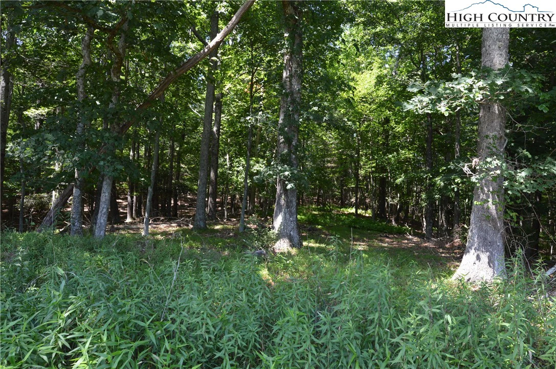 Image number 14 for the current listing