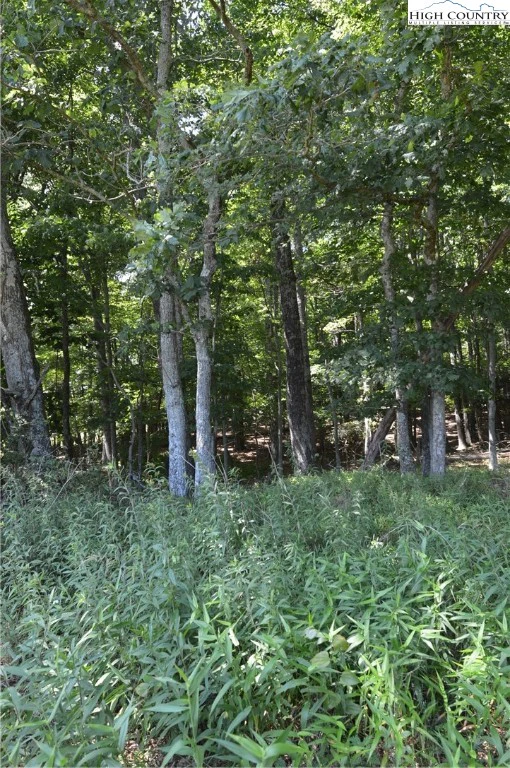 Image number 15 for the current listing