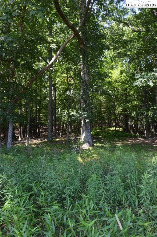 Image number 16 for the current listing