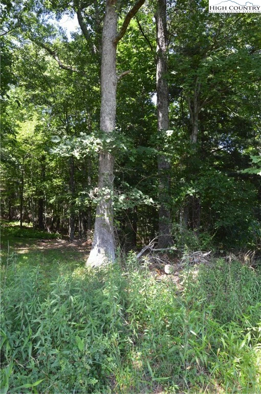 Image number 17 for the current listing
