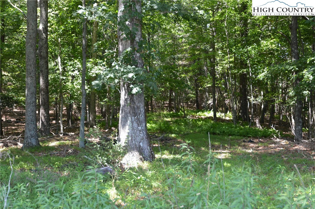 Image number 18 for the current listing