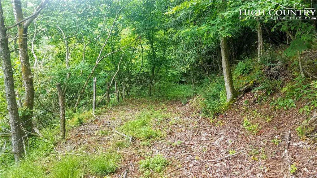 Image number 11 for the current listing