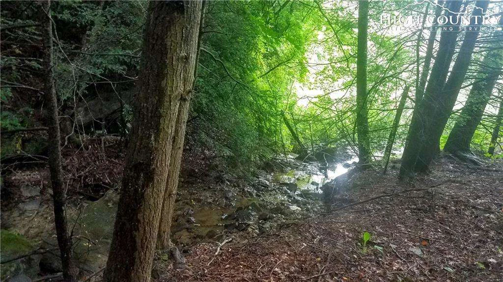 Image number 12 for the current listing