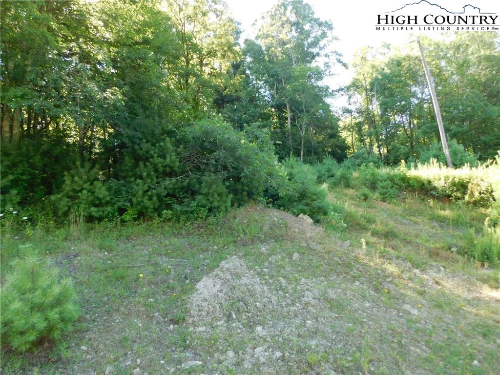 Image number 17 for the current listing