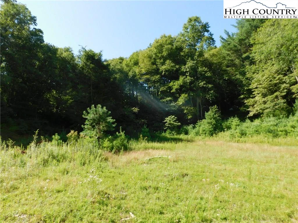 Image number 16 for the current listing