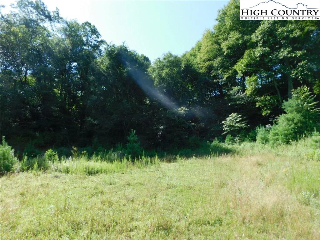 Image number 2 for the current listing