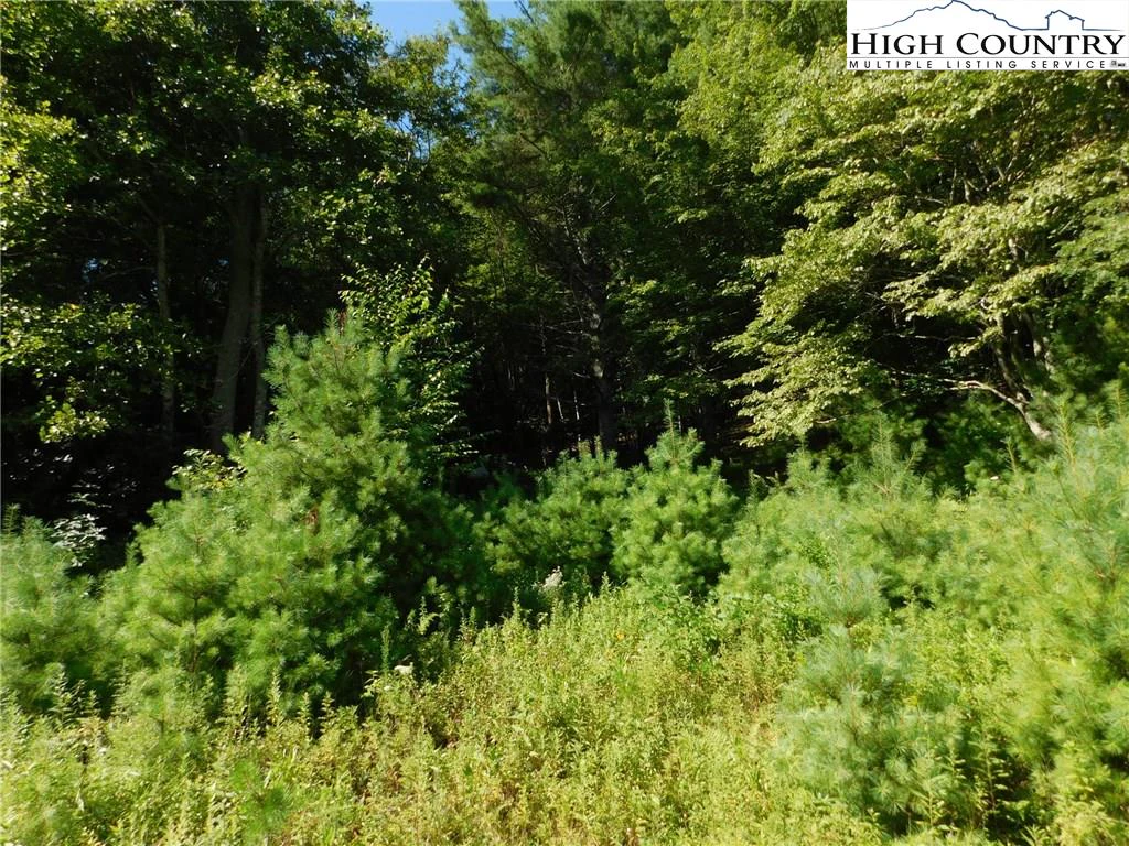 Image number 15 for the current listing