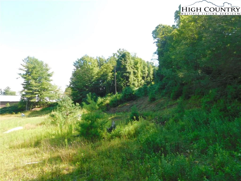 Image number 12 for the current listing