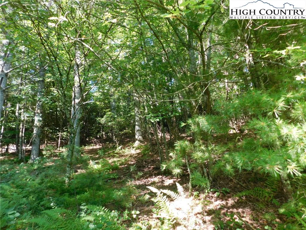 Image number 11 for the current listing