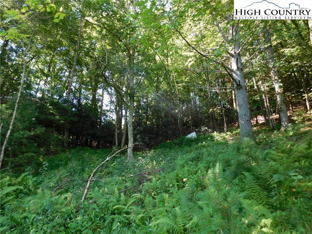 Image number 10 for the current listing