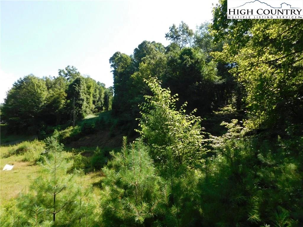 Image number 9 for the current listing
