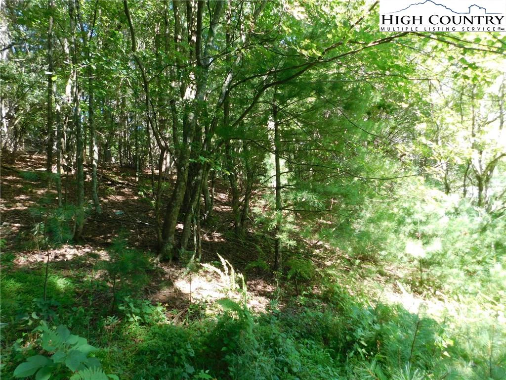 Image number 6 for the current listing