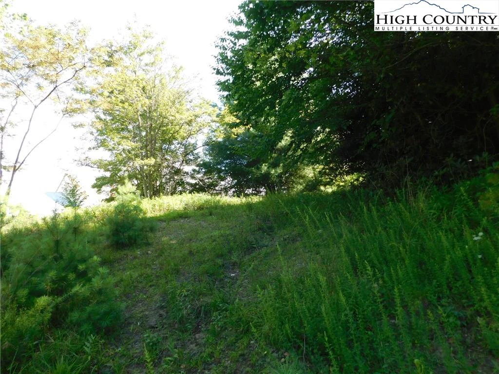 Image number 5 for the current listing
