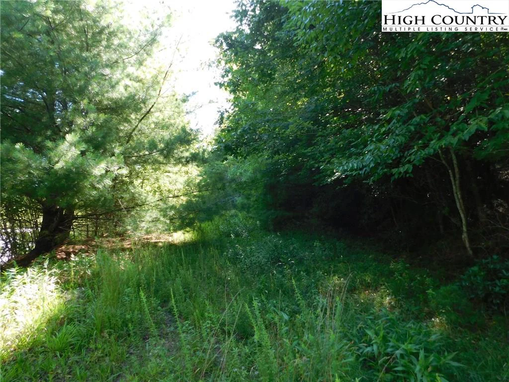 Image number 4 for the current listing