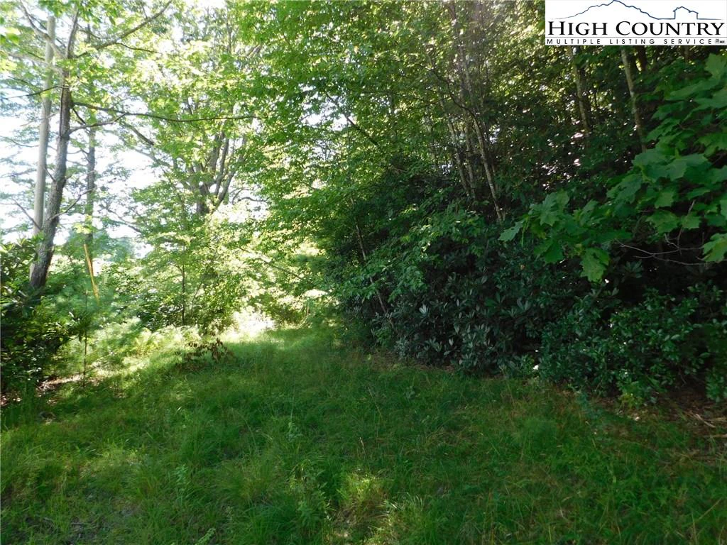Image number 3 for the current listing