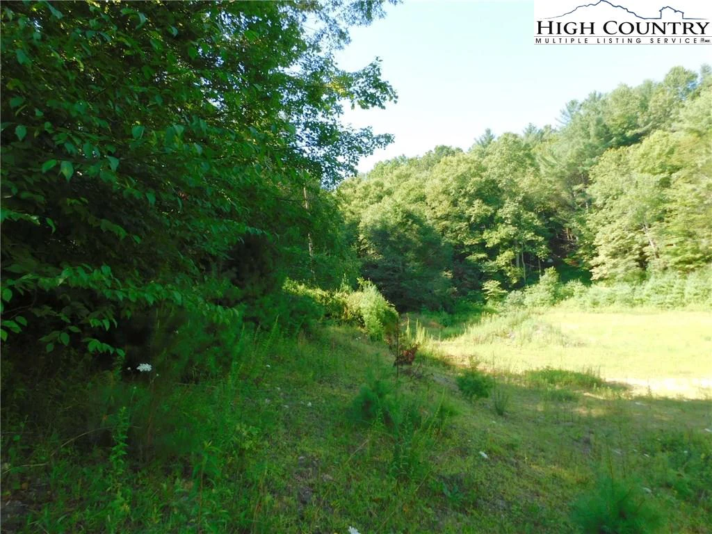 Image number 20 for the current listing
