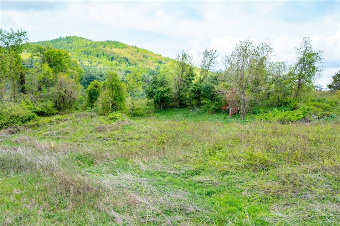 Image number 6 for the current listing