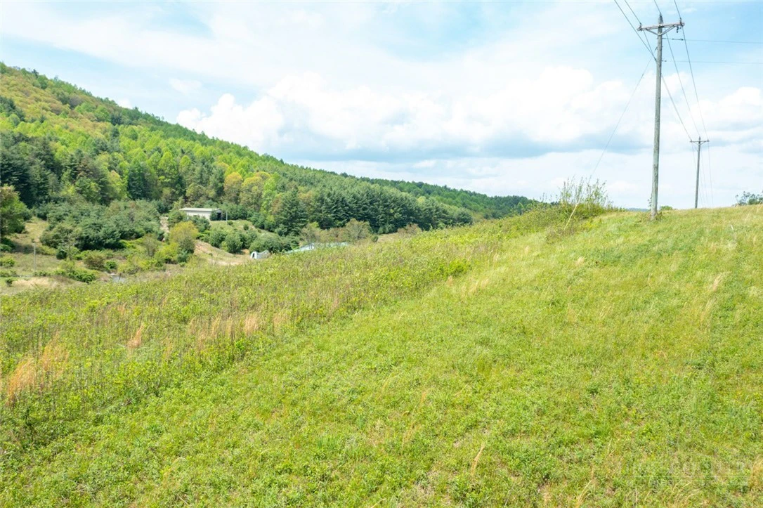 Image number 10 for the current listing