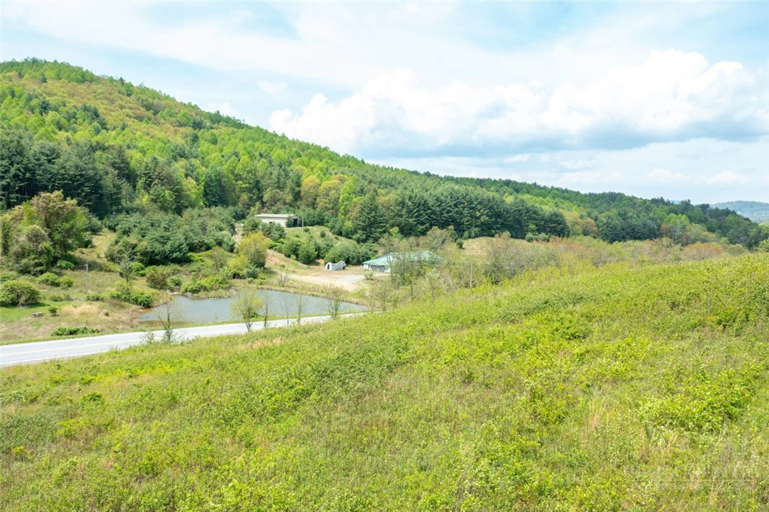 Image number 11 for the current listing