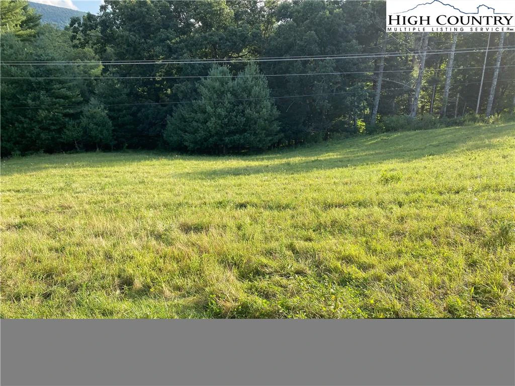 Image number 3 for the current listing
