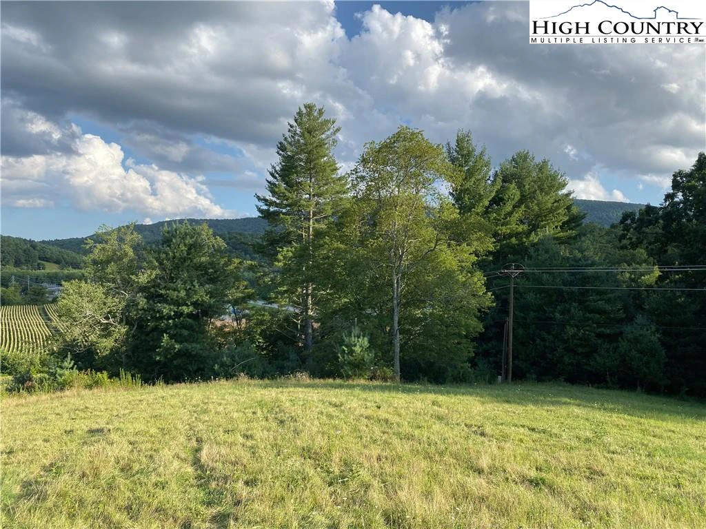 Image number 5 for the current listing