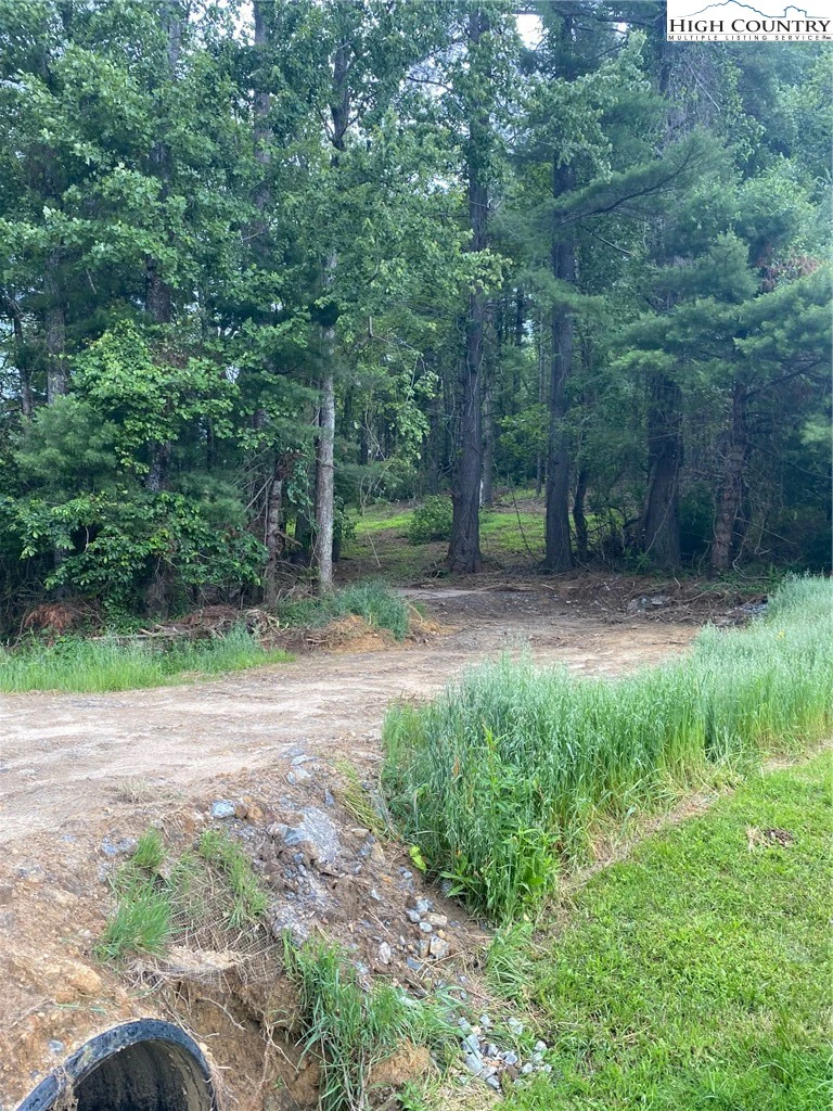 Image number 1 for the current listing