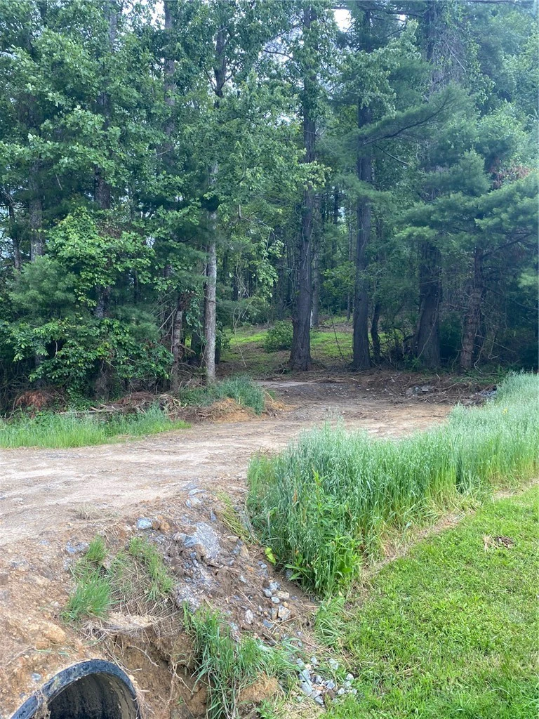 Image number 1 for the current listing