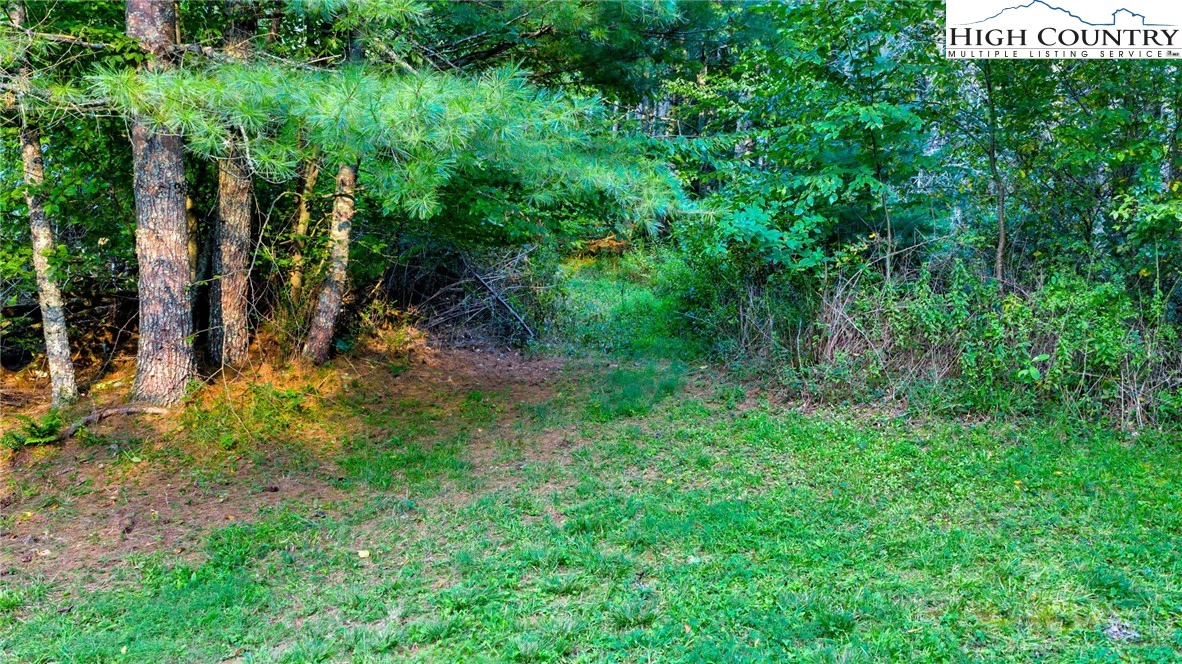 Image number 36 for the current listing