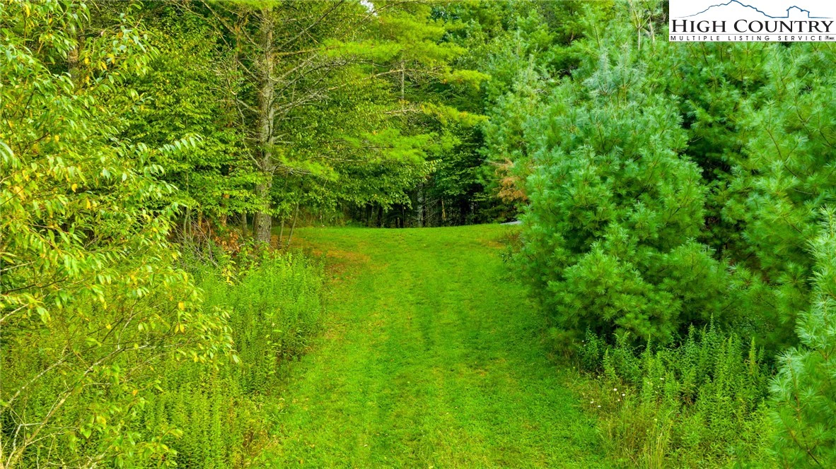 Image number 11 for the current listing