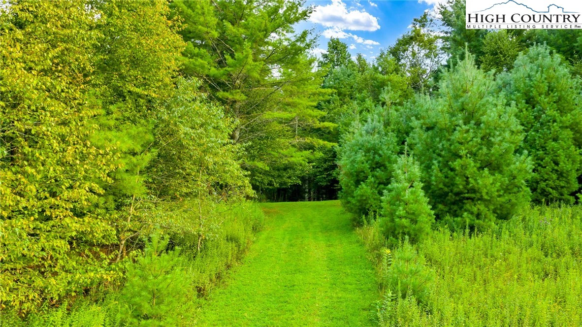 Image number 3 for the current listing