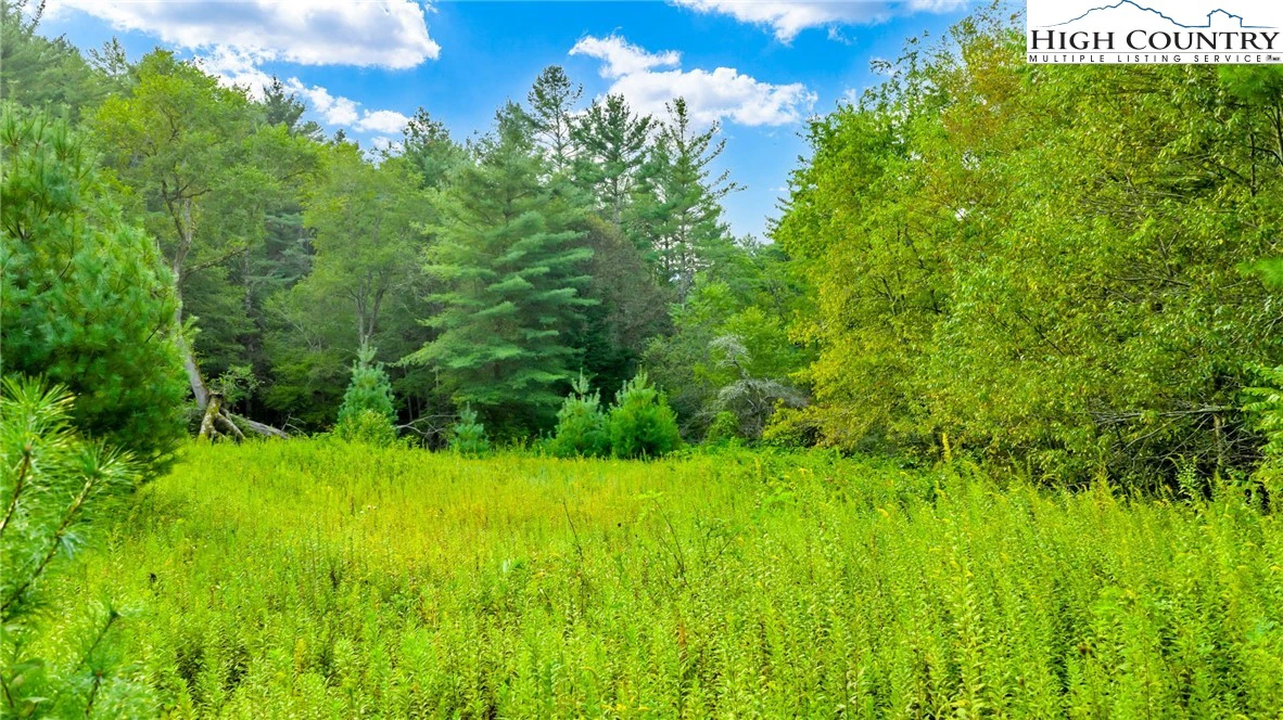Image number 5 for the current listing