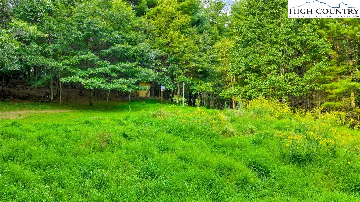 Image number 6 for the current listing