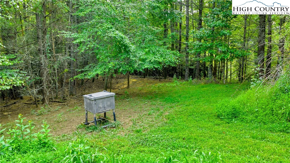 Image number 7 for the current listing