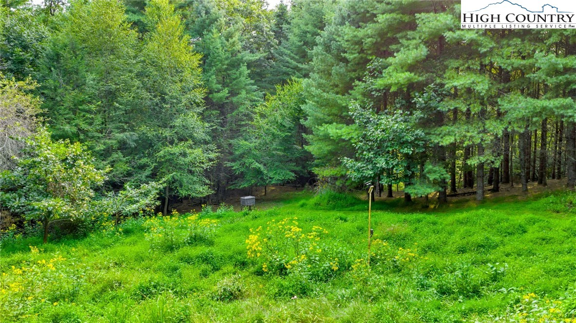Image number 8 for the current listing