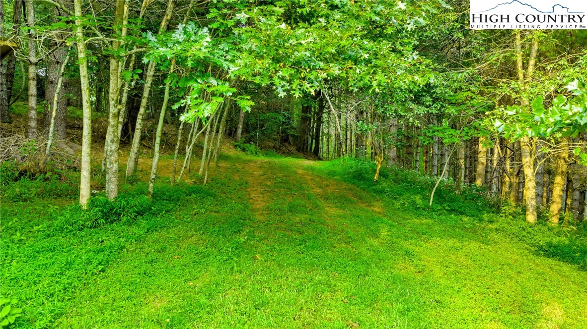 Image number 9 for the current listing