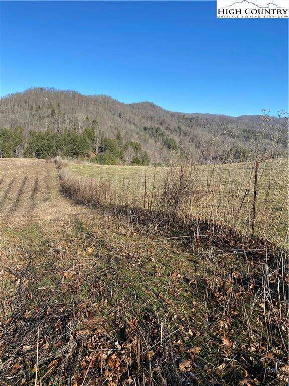 Image number 2 for the current listing