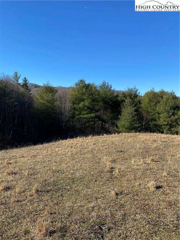 Image number 14 for the current listing