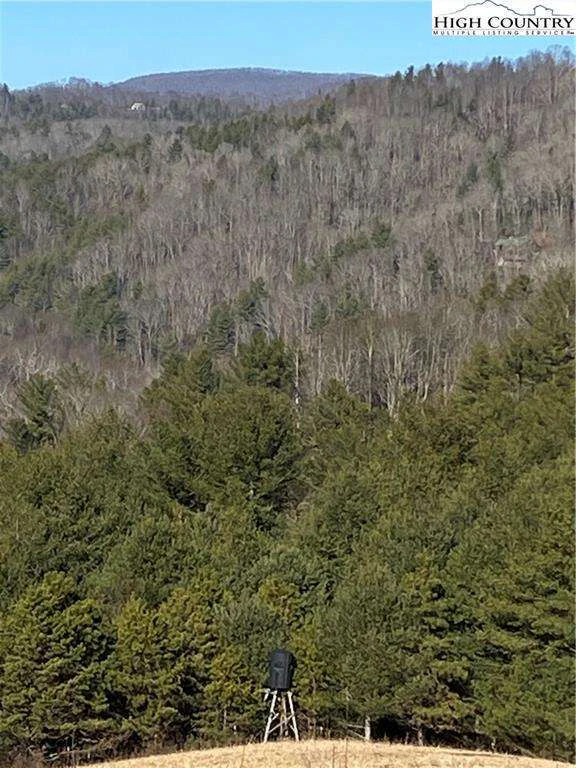 Image number 7 for the current listing