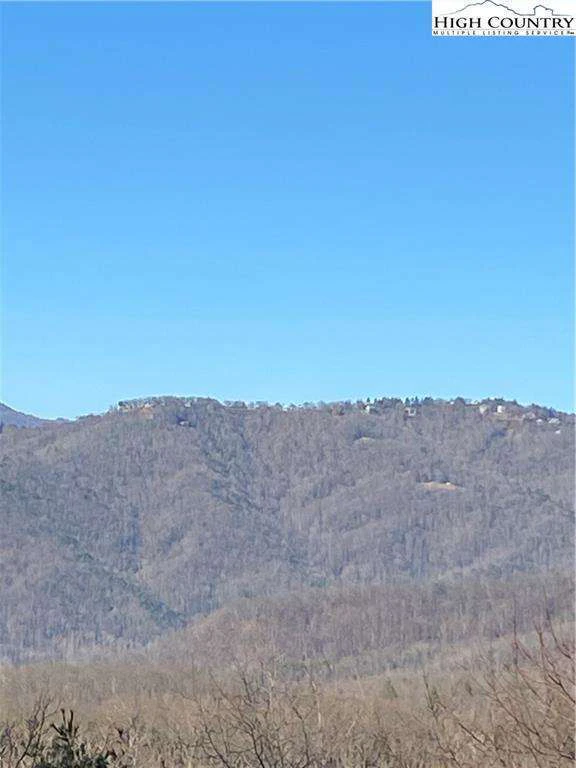 Image number 5 for the current listing