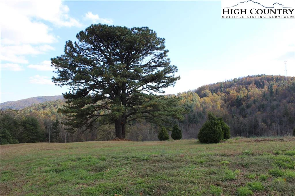 Image number 1 for the current listing
