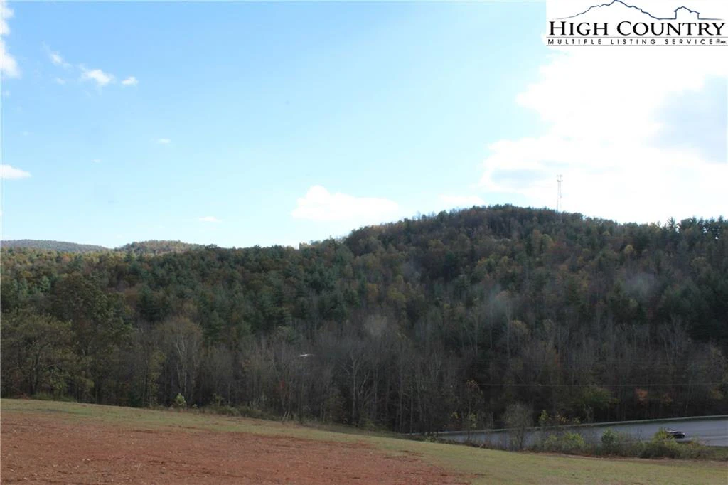 Image number 11 for the current listing