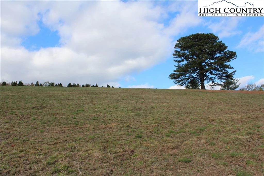 Image number 12 for the current listing