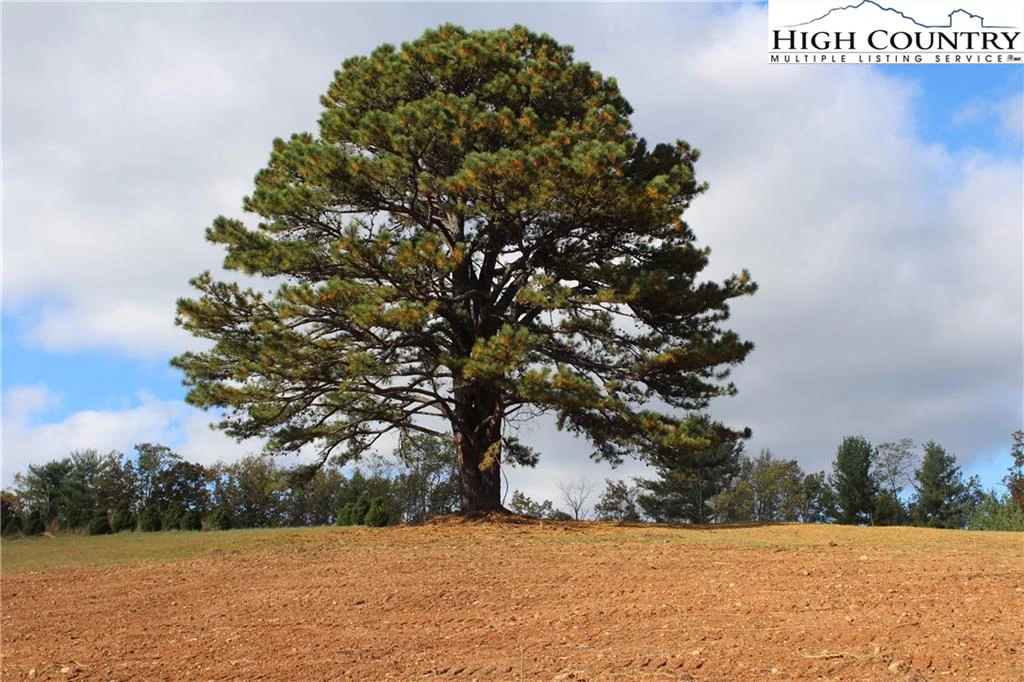 Image number 13 for the current listing