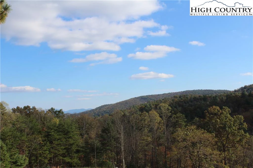 Image number 3 for the current listing