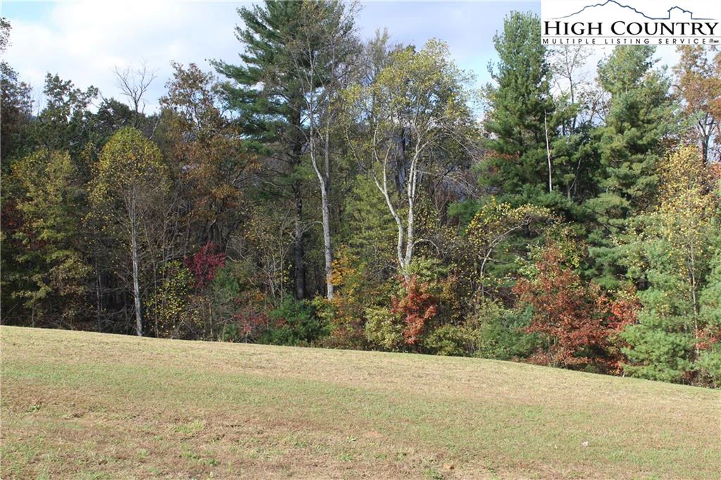Image number 5 for the current listing