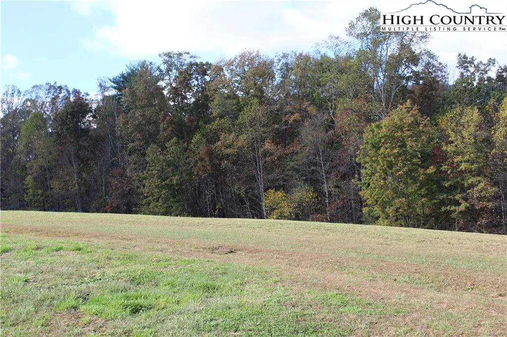 Image number 7 for the current listing