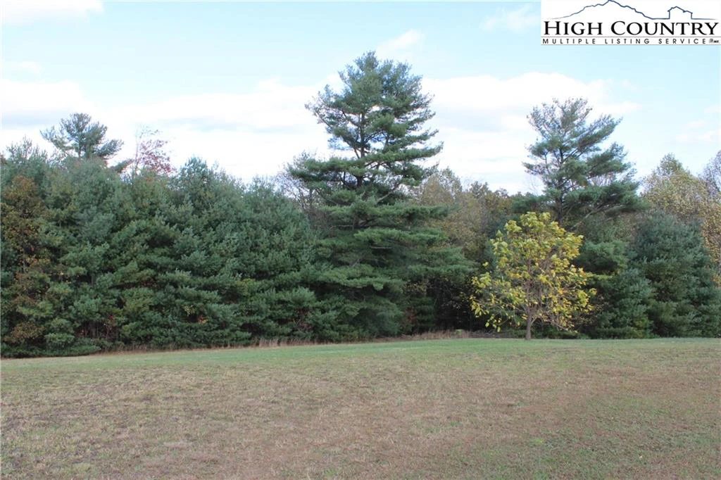 Image number 8 for the current listing