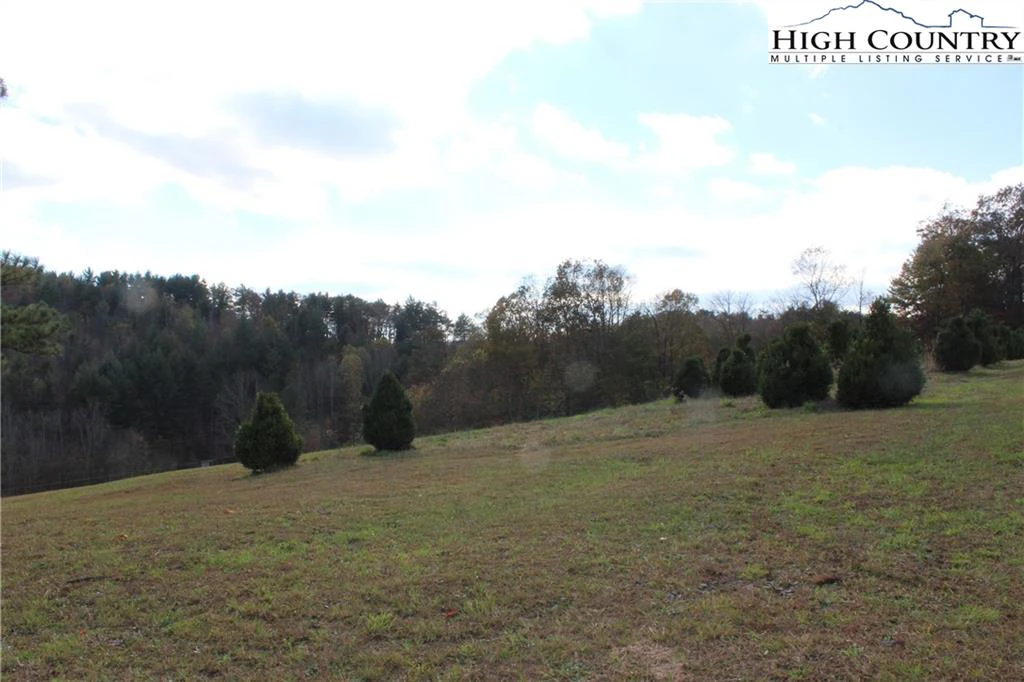 Image number 9 for the current listing